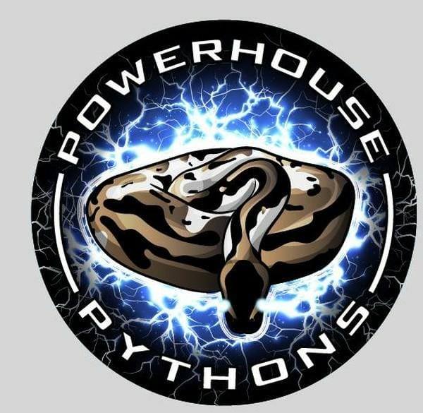 Powerhouse Pythons
