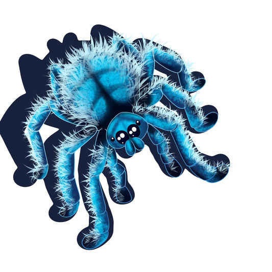 DreamWeavers Spiders