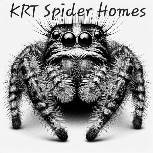 KRT Spider Homes
