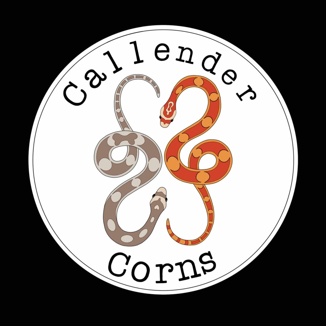 Callender Corns