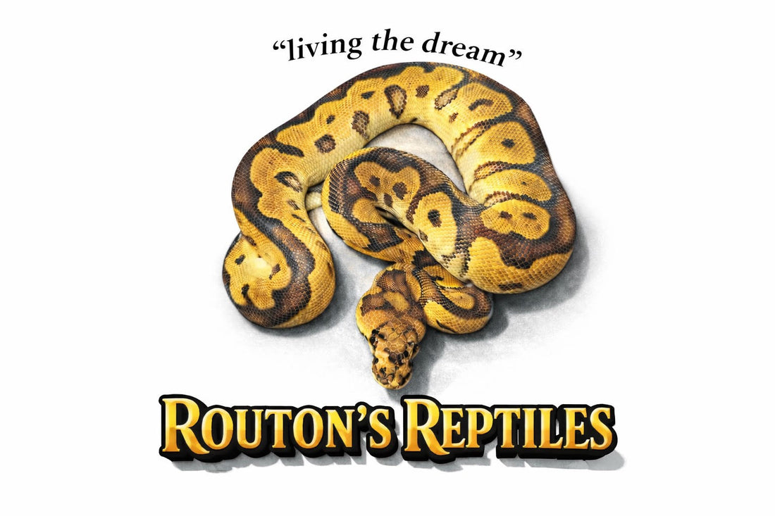 Routon's Reptiles