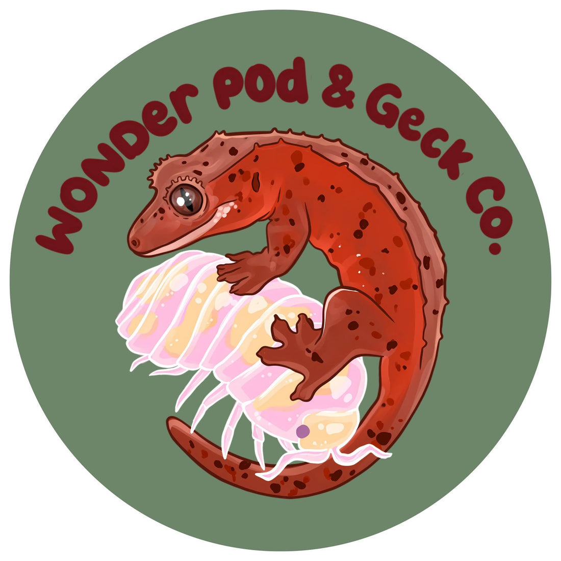 Wonder Pod & Geck Co.