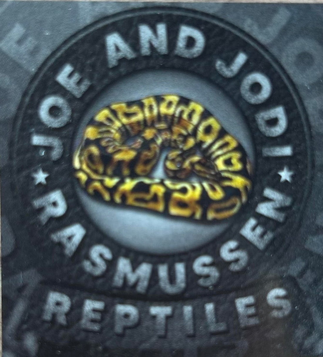 Rasmussen Reptiles